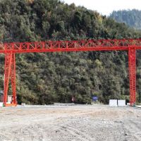 成都龍新都區起重機銷售